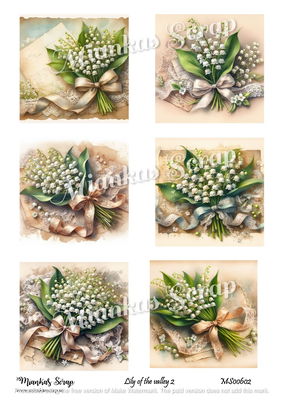 Miankas Scrap klippark - Lily of the valley 2