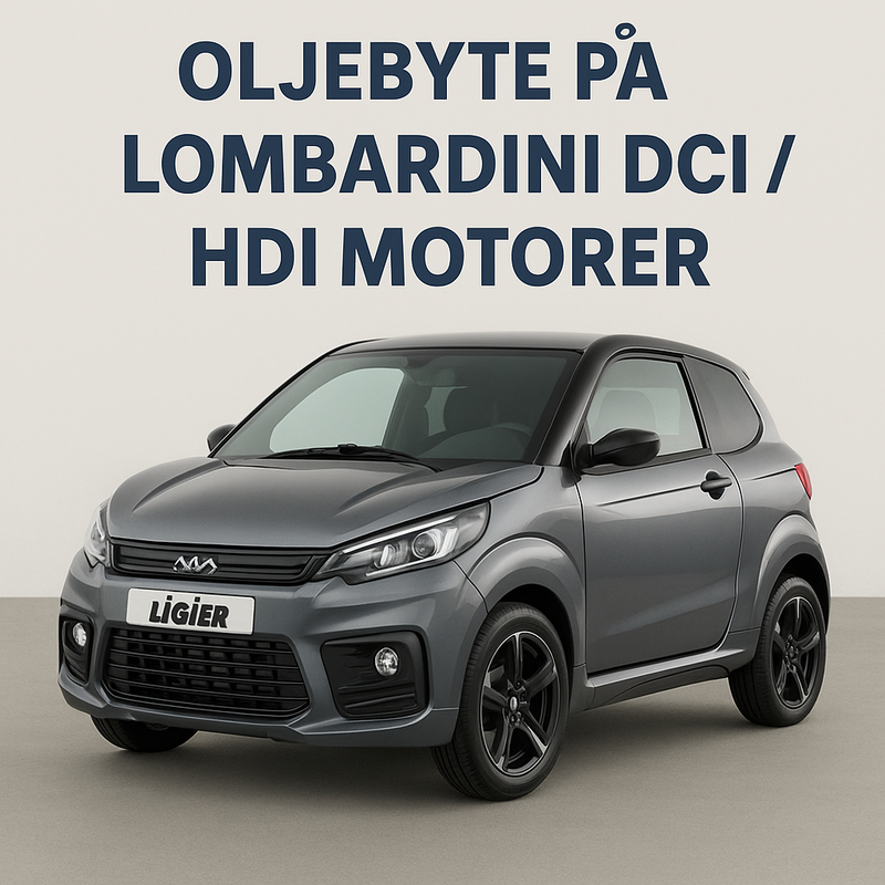 Oljeservice på er Ligier / Microcar / Chatenet / Grecav med Lombardini DCI / HDI motor