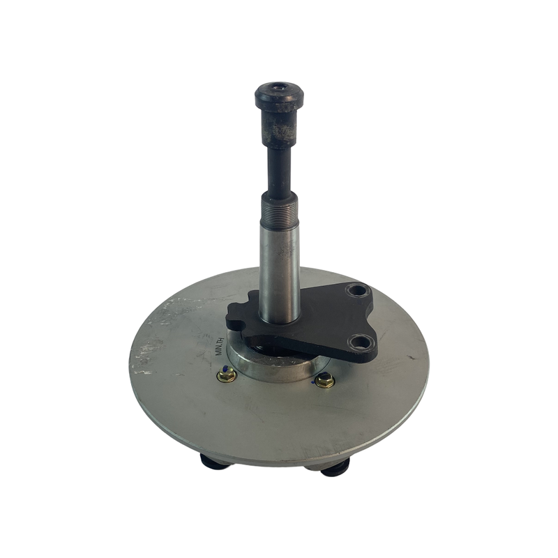 Pyörännapa, mukaan lukien jarrulevy, takana Ligier ja Microcar