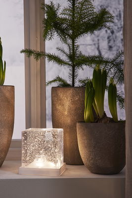 Inomhusdekoration Frost 14cm