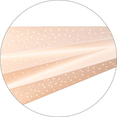 Julstjärna Holly Vit 60cm