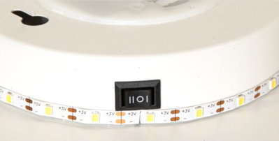 Inomhusdekoration Walle Blomma