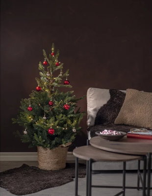 Julgran Granby 120 cm