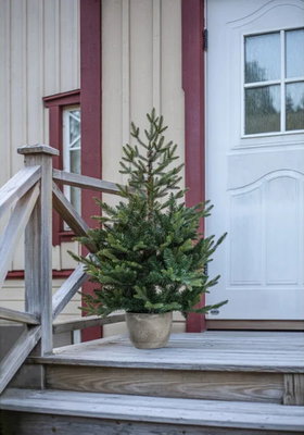 Julgran Granby 120 cm