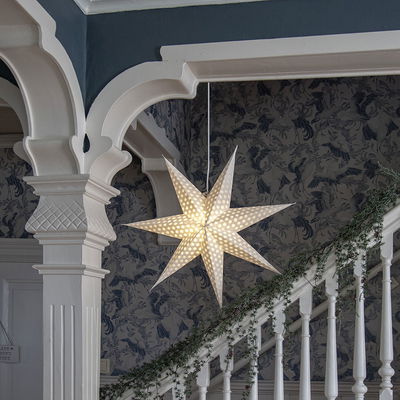 Julstjärna Cloud Vit med vattenstämplade prickar 60cm