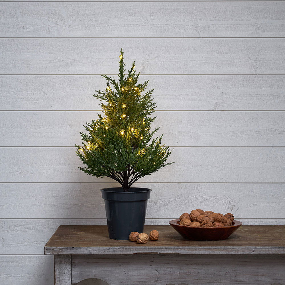 Dekorationsträd Thuja 55 cm Dekorationsträd Thuja 55 cm