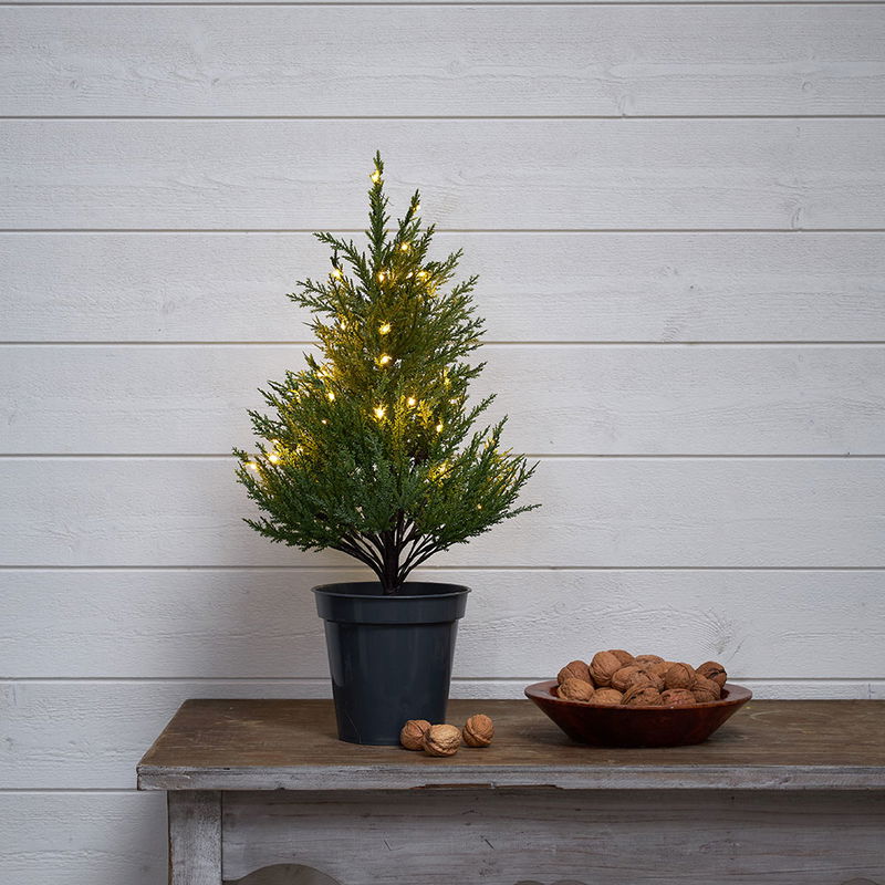 Dekorationsträd Thuja 55 cm 600-25_MB_001