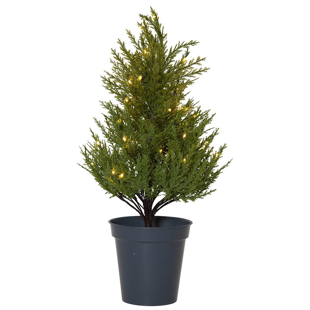 Dekorationsträd Thuja 55 cm Dekorationsträd Thuja 55 cm