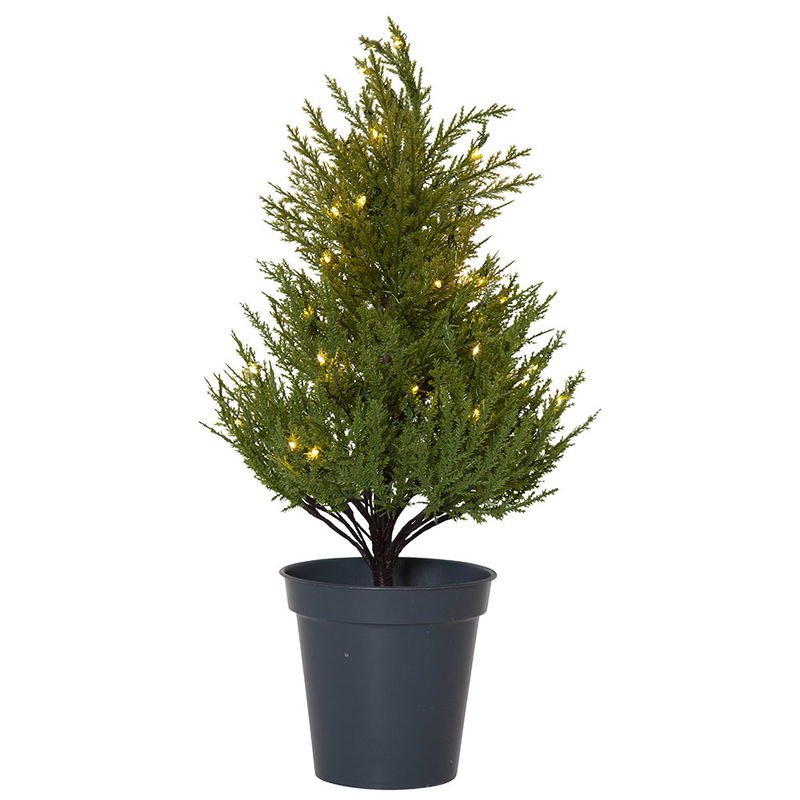 Dekorationsträd Thuja 55 cm Dekorationsträd Thuja 55 cm