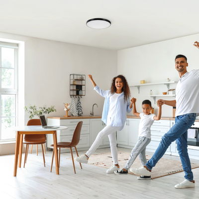 Smart Taklampa 20W 3000-6500K CCT WiFi 2,4 Svart Dimbar