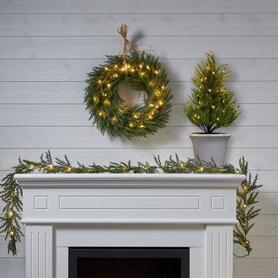 Dekorationsträd Thuja 55 cm Dekorationsträd Thuja 55 cm
