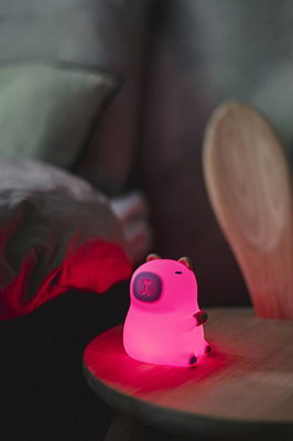 Nattlampa LED Functional Kapybara