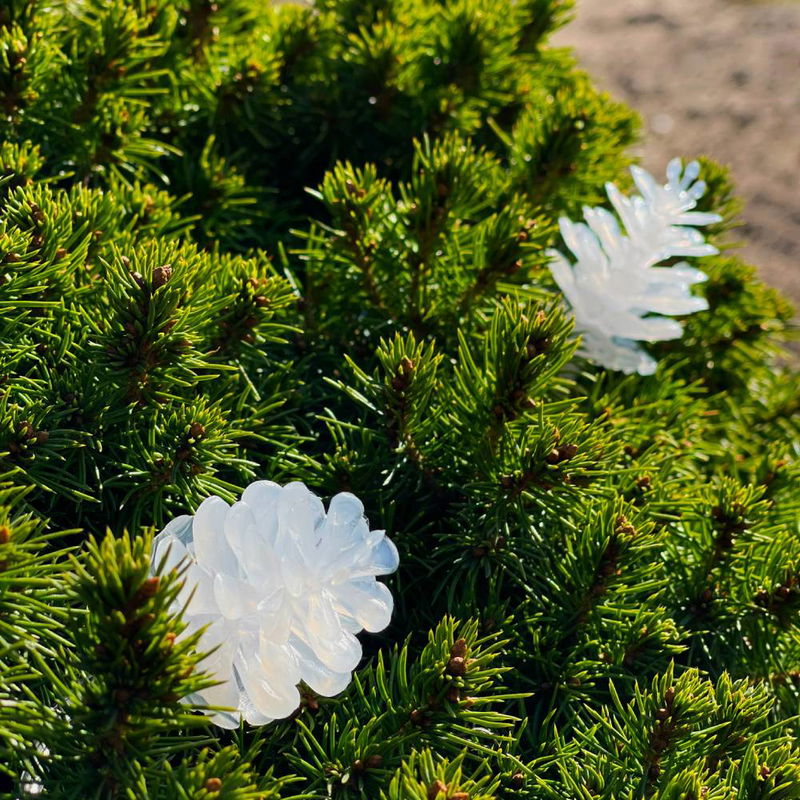 Ljusslinga Pine 10m från LightsOn Garden Plug & Play
