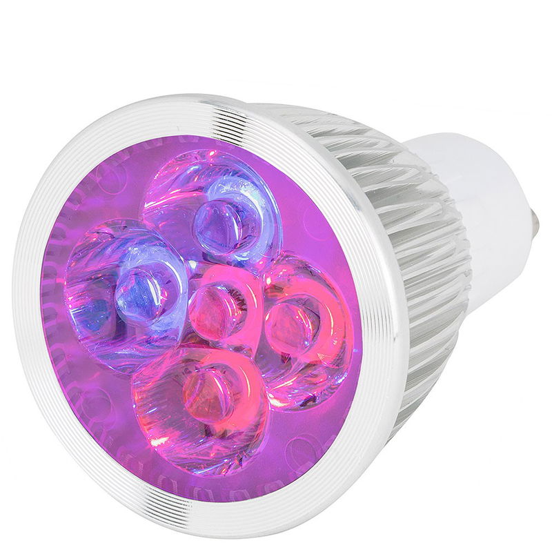 Växtlampa LED Odla och Akvarier Röd/Blå 5,0W 400lm GU10 Växtlampa LED Odla och Akvarier Röd/Blå 5,0W 400lm GU10