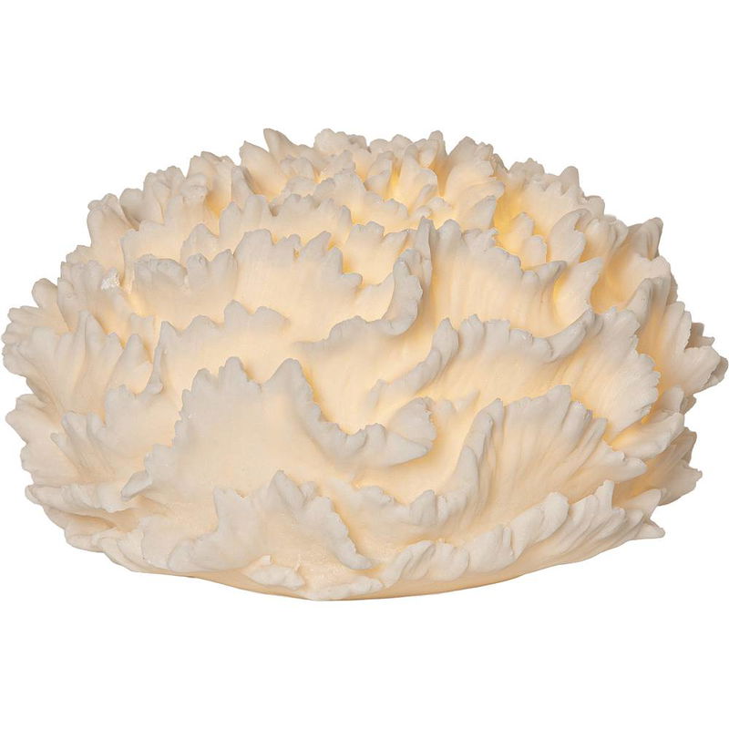 Utomhusdekoration Sandy Korall 28,5cm