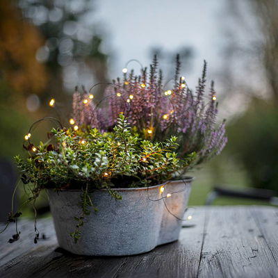 Ljusslinga Dew Drop LED Outdoor