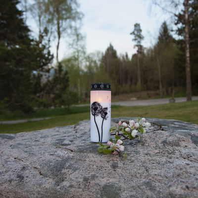 Minnesljus Dandelion 21cm