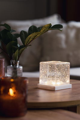 Inomhusdekoration Frost 14cm