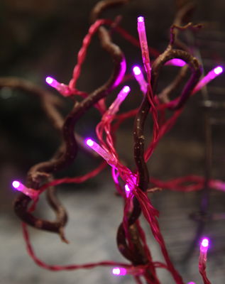 Ljusslinga Trendlites Rosa Batteri