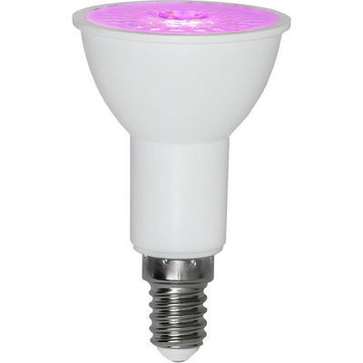 Spot/Reflektor Växtlampa LED R50 3,5W 50lm E14