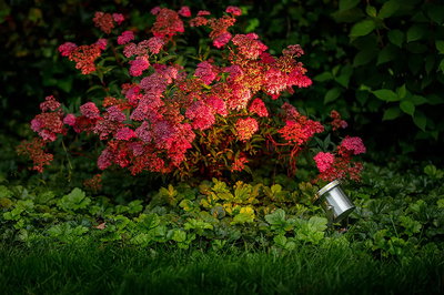 Spotlight Arigo 2,6W 195lm IP68