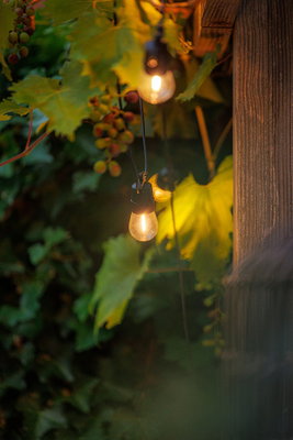 Partylights Filament 10st lampor IP44