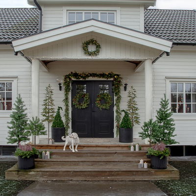 Barrträd Trapp Nisse Erna 54cm