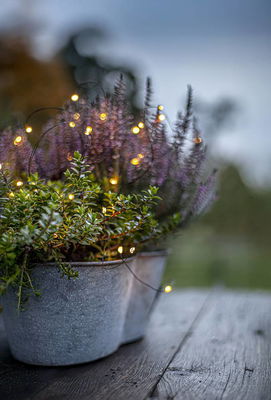 Ljusslinga Dew Drop LED Outdoor