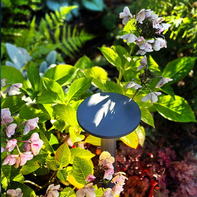 Pollare Orbit 35cm Mörkgrå 6W 240lm 3000K LightsOn Garden Plug & Play