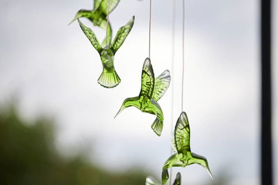 Solcellsdekoration Kolibri