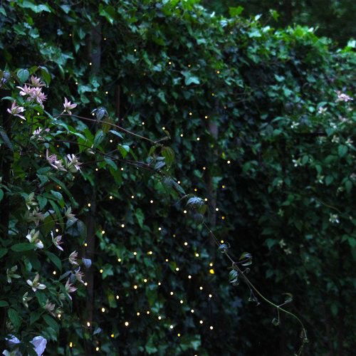 Ljusnät 2x1,5m 6W 3000K LightsOn Garden Plug & Play Ljusnät 2x1,5m 6W 3000K LightsOn Garden Plug & Play