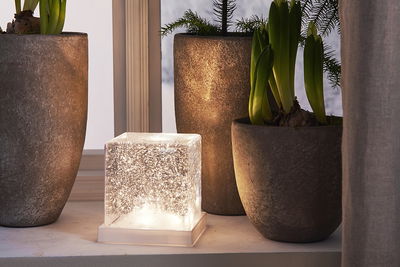 Inomhusdekoration Frost 11cm