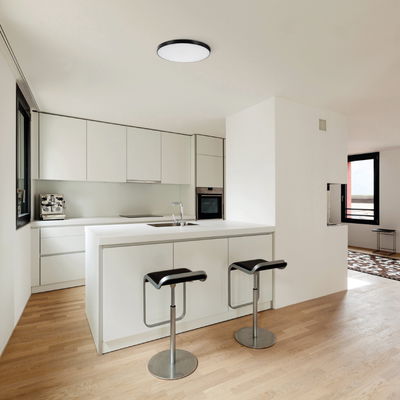 Smart Taklampa 20W 3000-6500K CCT WiFi 2,4 Svart Dimbar