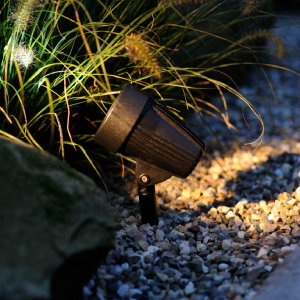 Spotlight