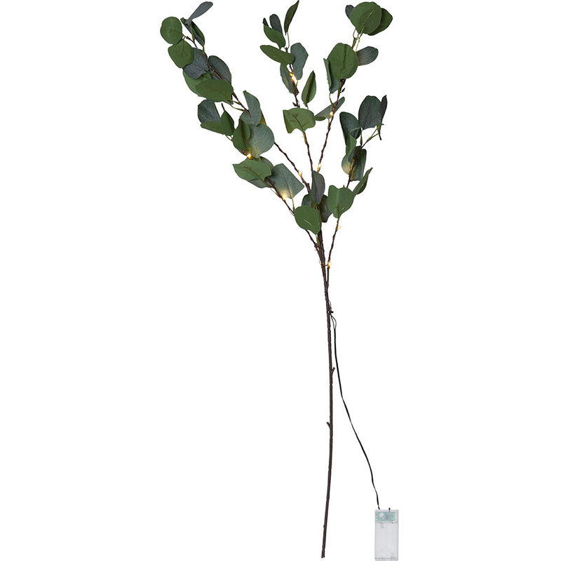 Dekorationskvist Eucalyptus Dekorationskvist Eucalyptus