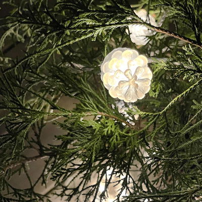 Ljusslinga Pine 10m från LightsOn Garden Plug & Play
