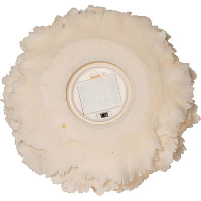 Utomhusdekoration Sandy Korall 28,5cm