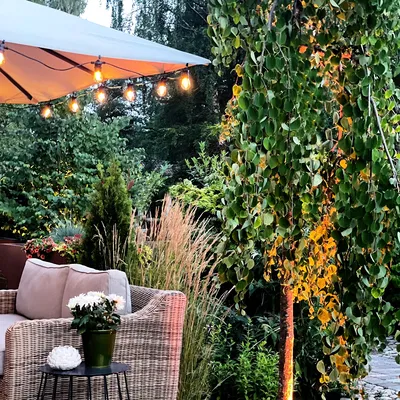 Ljusslinga Cosy Start 5m LightsOn Garden Plug & Play
