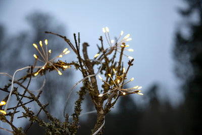 Ljusslinga Dew Drops 96 Flower Vit