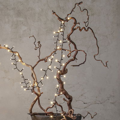 Ljusslinga Shiny Warm White 5,5m