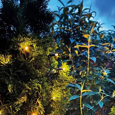 Ljusslinga Twinky PRO 10M 4W 3000K LightsOn Garden Plug & Play