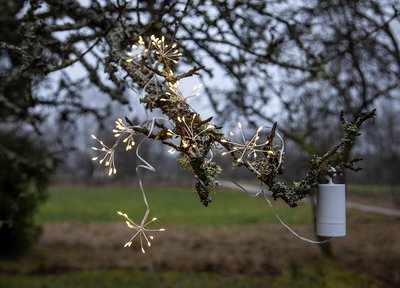 Ljusslinga Dew Drops 96 Flower Vit