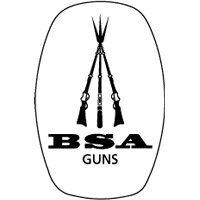 BSA Guns