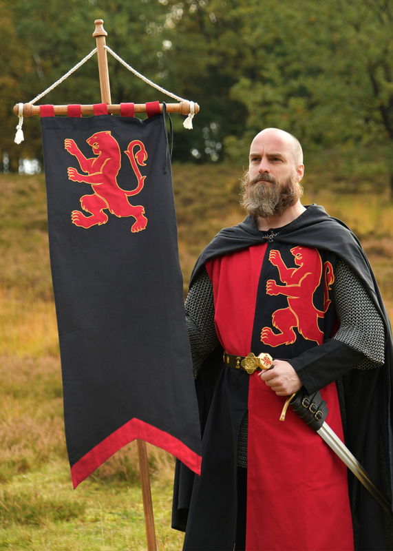 Medeltids Flagga Med Lejon