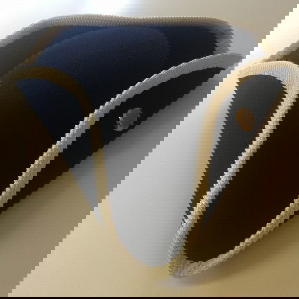 Karoliner trekantshatt