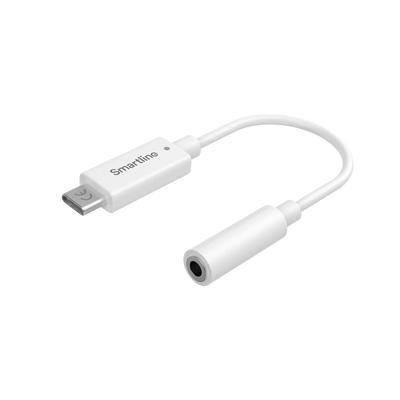 Smartline Audio Adapter Cable
