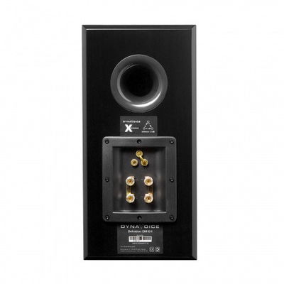 Dynavoice Definition DM-6II