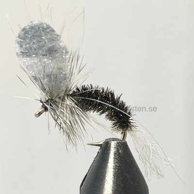 Mayfly 