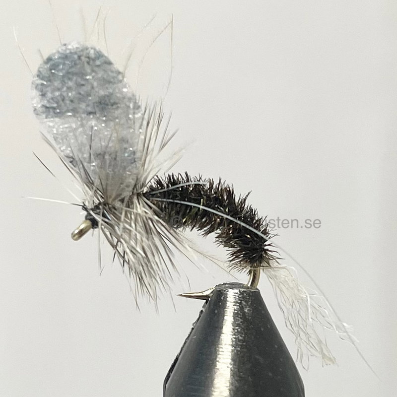 Mayfly kläckande