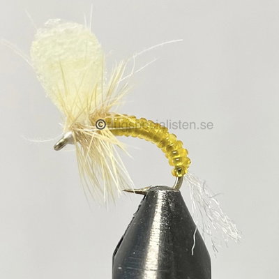 Mayfly gold